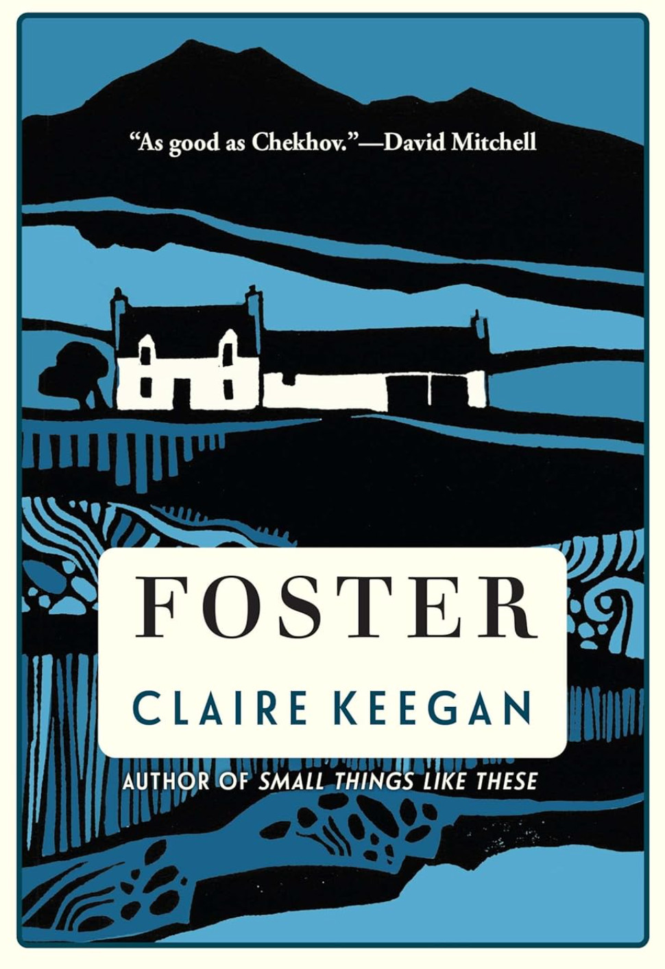 Foster by Claire Keegan (2022, Hardcover)