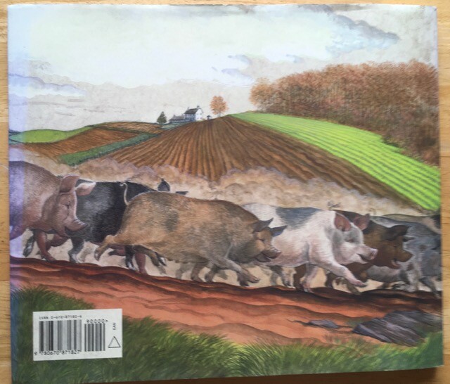 Hog Music by M.C. Helldorfer Illustrated by S.D. Schindler (Hardcover)