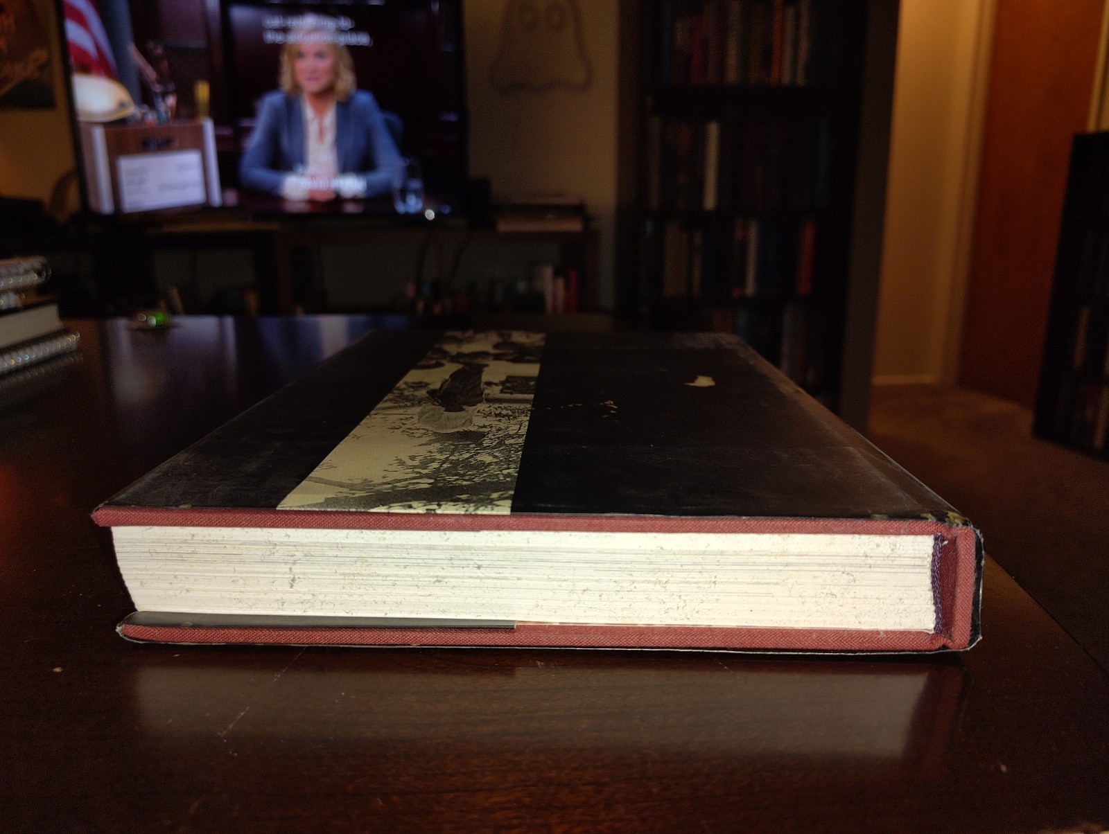 Without Sanctuary: Lynching Photography In America by James Allen, et al. (2000)