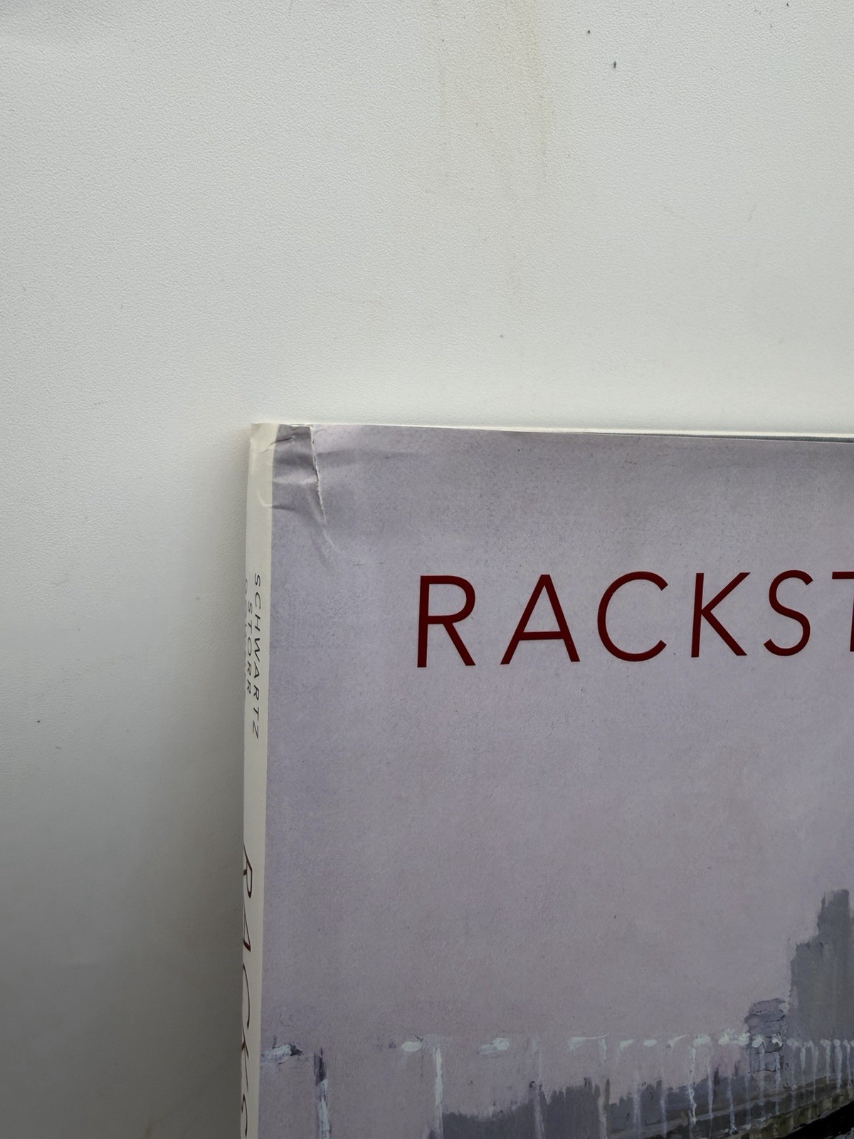 Rackstraw Downes Schwartz Storr Princeton University Press Hardcover DJ 2005