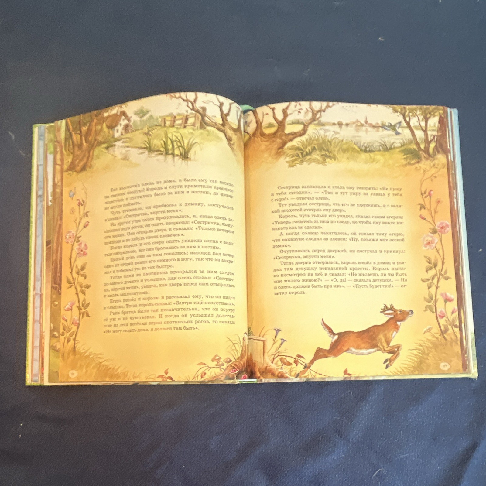 Братья Гримм Сказки Russian HC Illustrated Picture Book Ages 4-8 Лабиринт