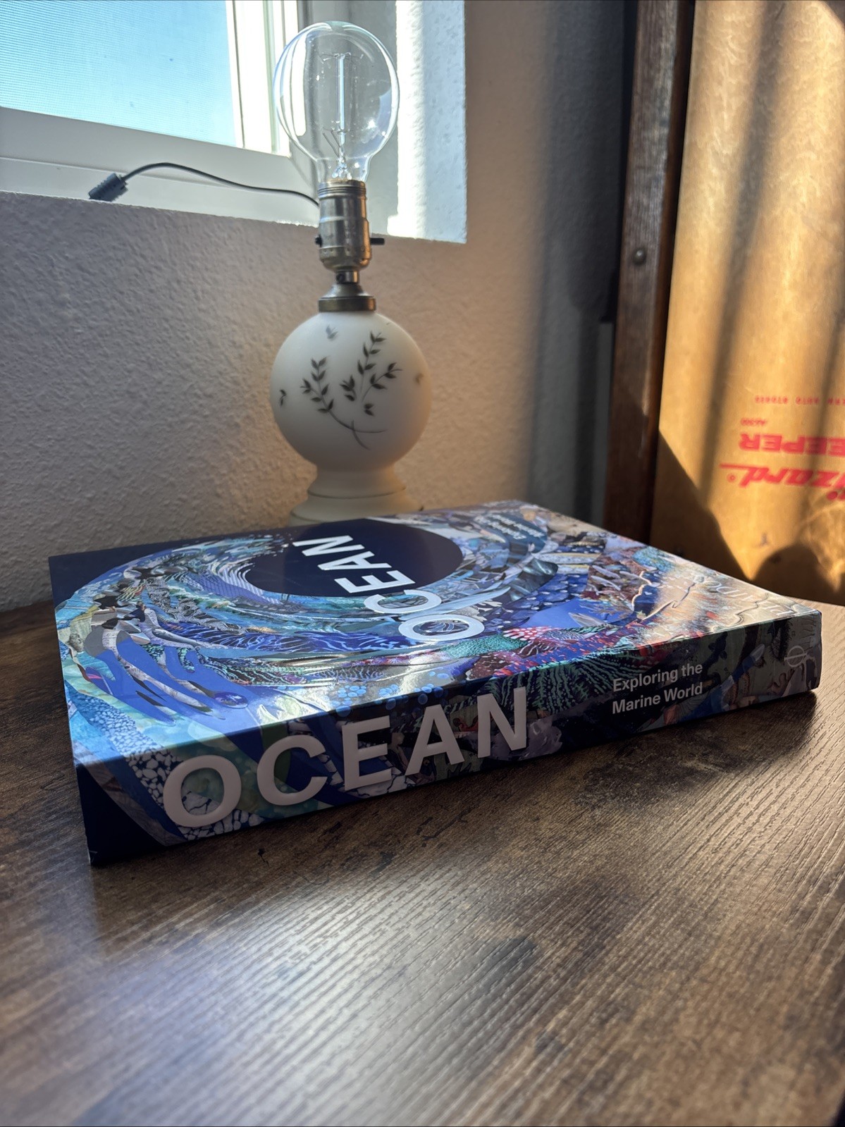 Ocean : Exploring the Marine World by Phaidon Editors (2022, Hardcover)