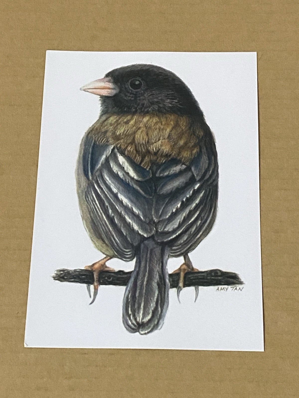 Backyard Bird Chronicles by Amy Tan 2024 Signed First Edition & Postcard