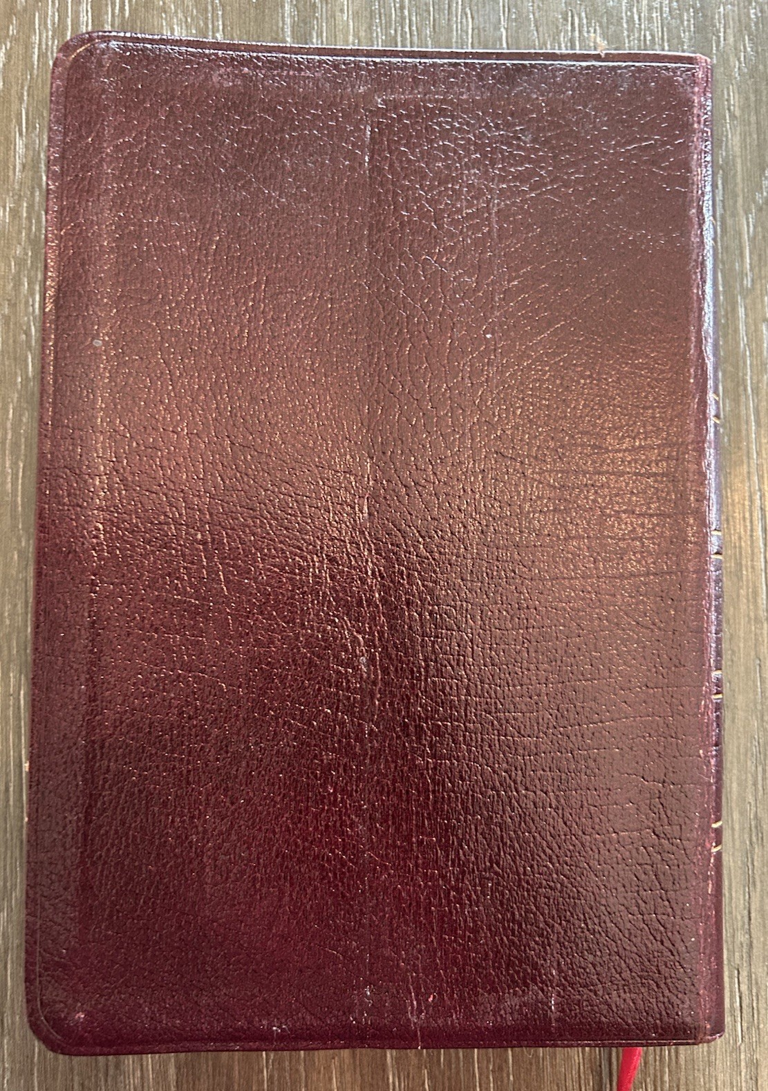 Thompson Chain Reference Bible Leather 1983 NIV