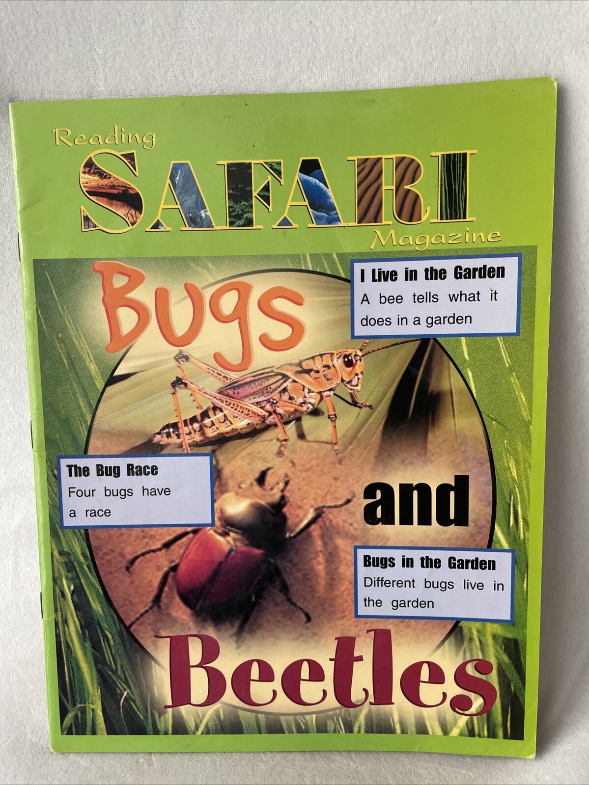 Reading Safari Magazine Bugs and Bettles