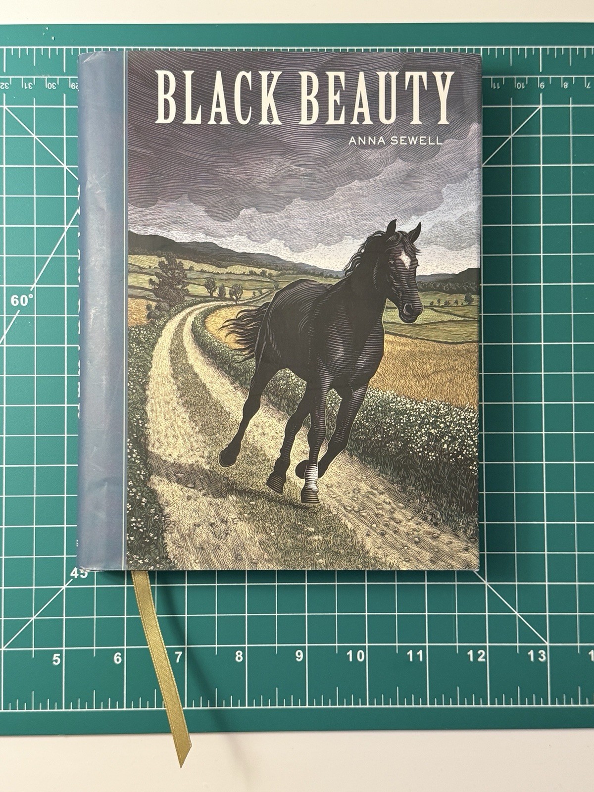 Black Beauty Anna Sewell Illustrated Sterling Hardcover w/ Dust Jacket