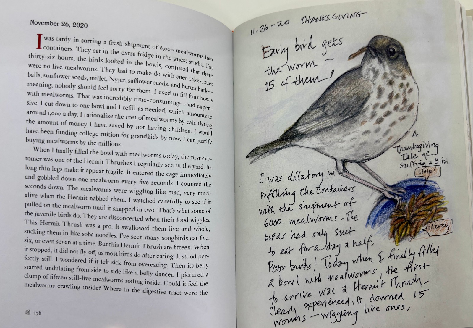 NEW The Backyard Bird Chronicles AMY TAN Best Seller NYT David Sibley
