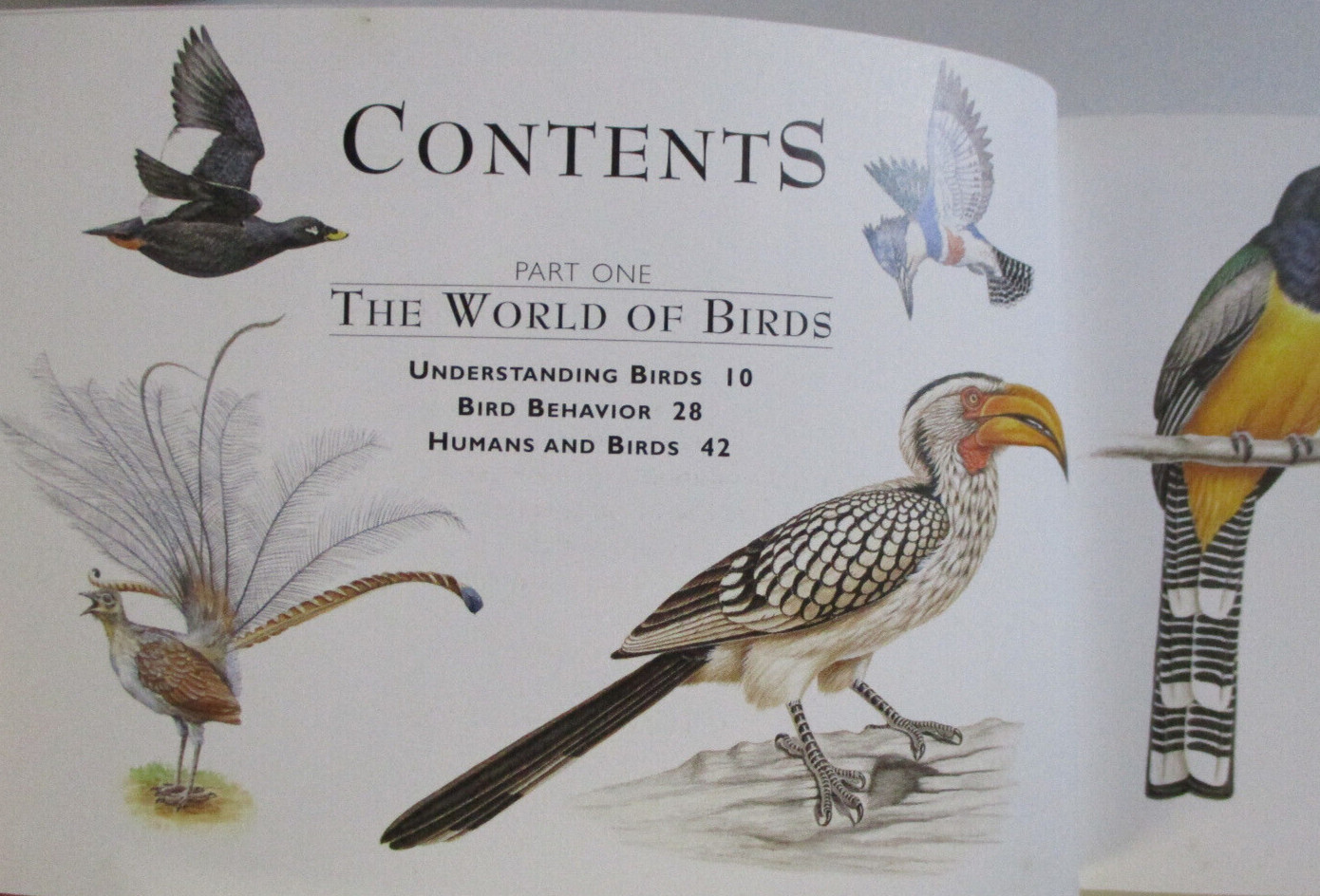 The Little Guides, Birds, Guide to Species, Ed Joseph M Forshaw – 1875137734