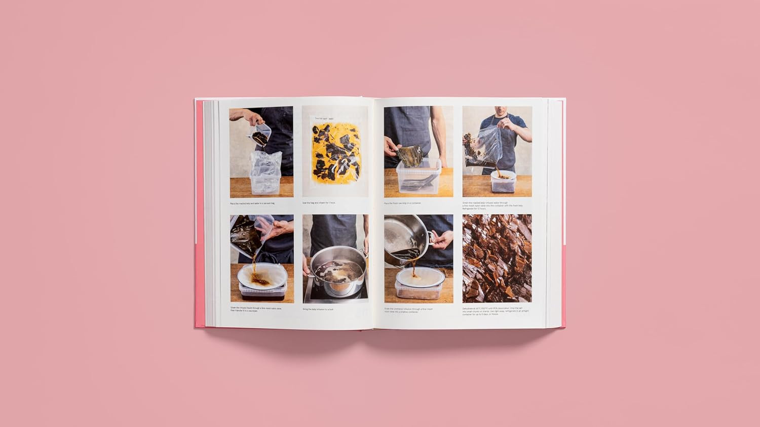 The Noma Guide to Building Flavour: Including Recipes and Techniques for Sauces,