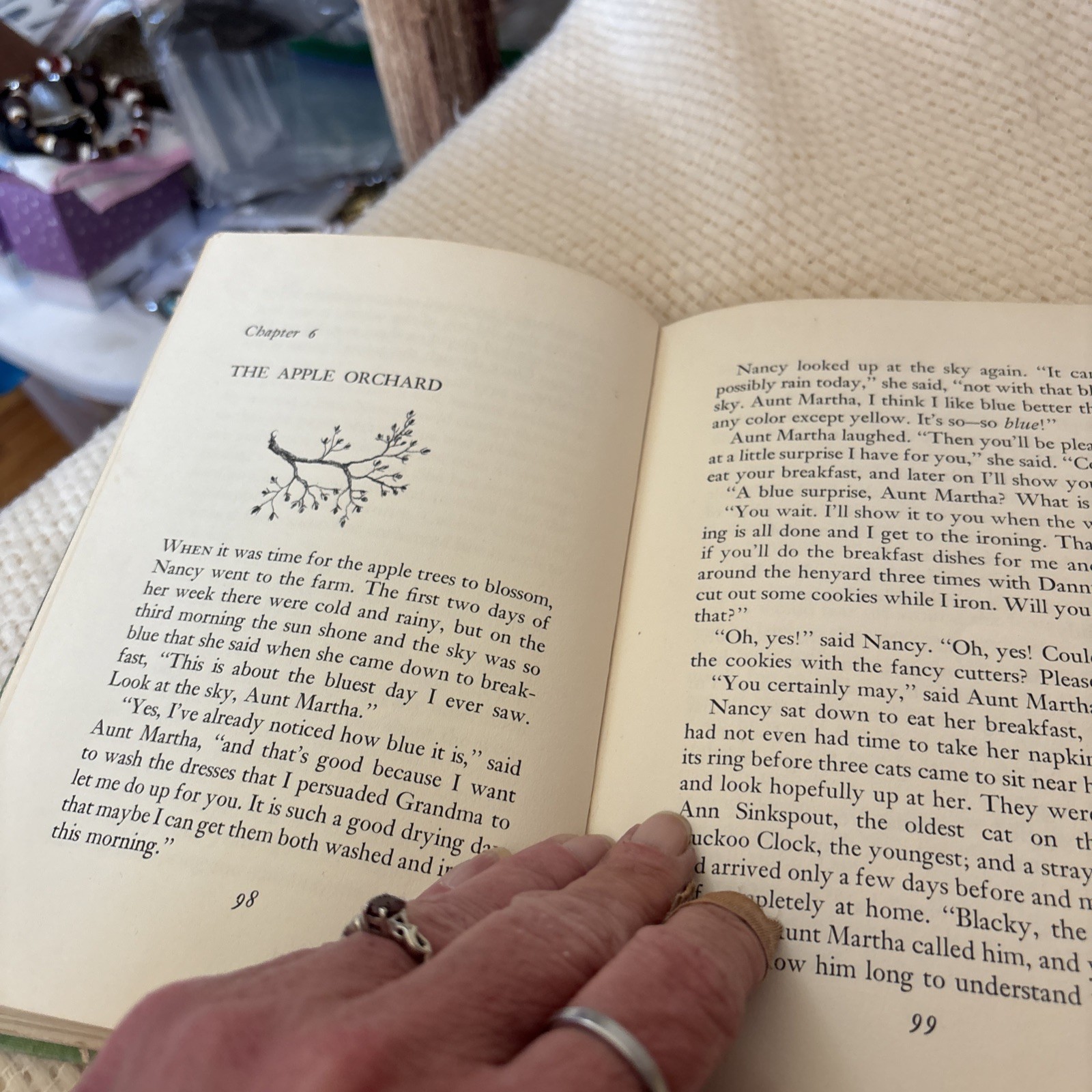 The Golden Name Day by Jennie D Lindquist Previous High School Library Book.