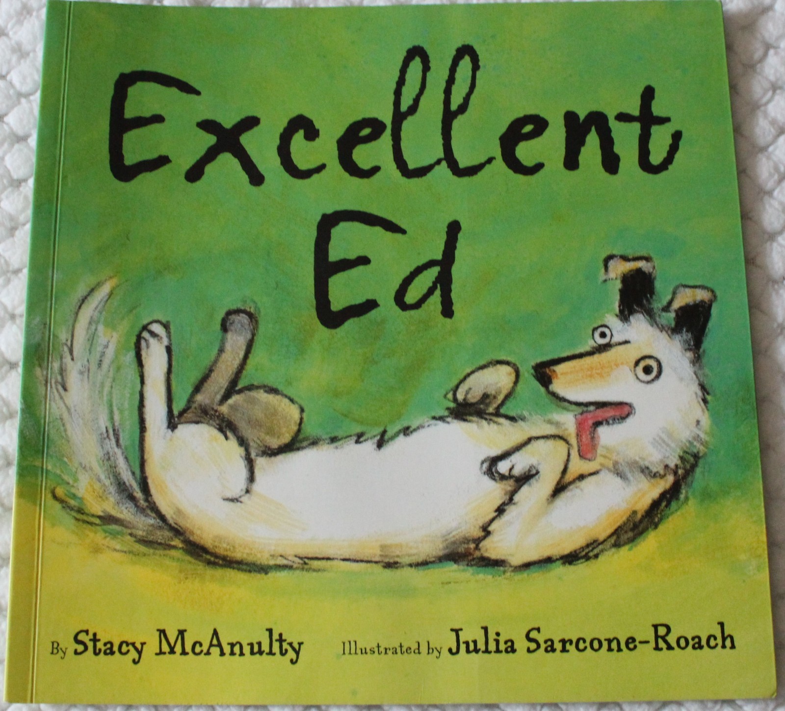 Excellent Ed – Paperback, by Stacy McAnulty – NEW