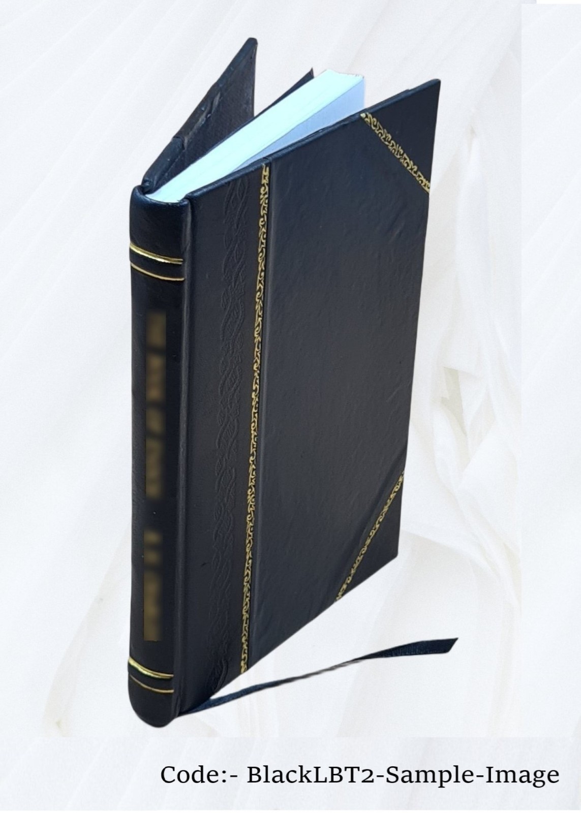 Play And Politics Recollections Of Malaya 1901 [Leather Bound]