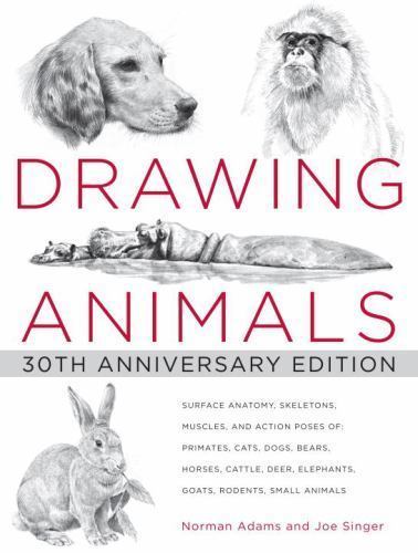 Drawing Animals: 30th Anniversary Edition by Norman Adams; Joe Singer