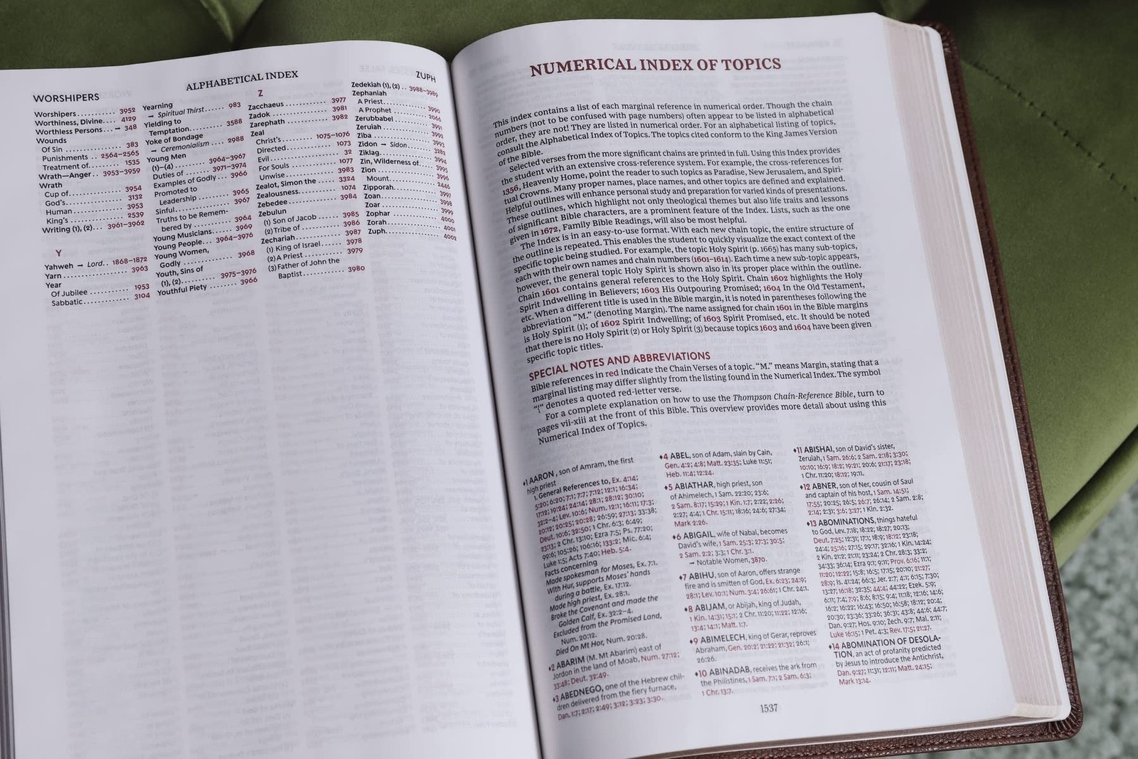 KJV, Thompson Chain-Reference Bible, Large Print, Leathersoft, Brown, Red Let…