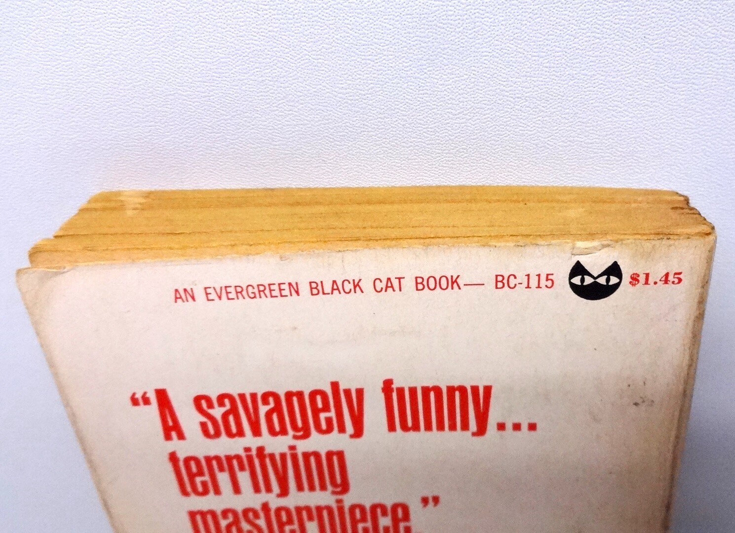Naked Lunch William Burroughs 1966 1st Evergreen Black Cat Edition PB Vtg