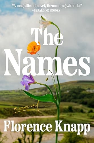 The Names A Novel – VERY GOOD