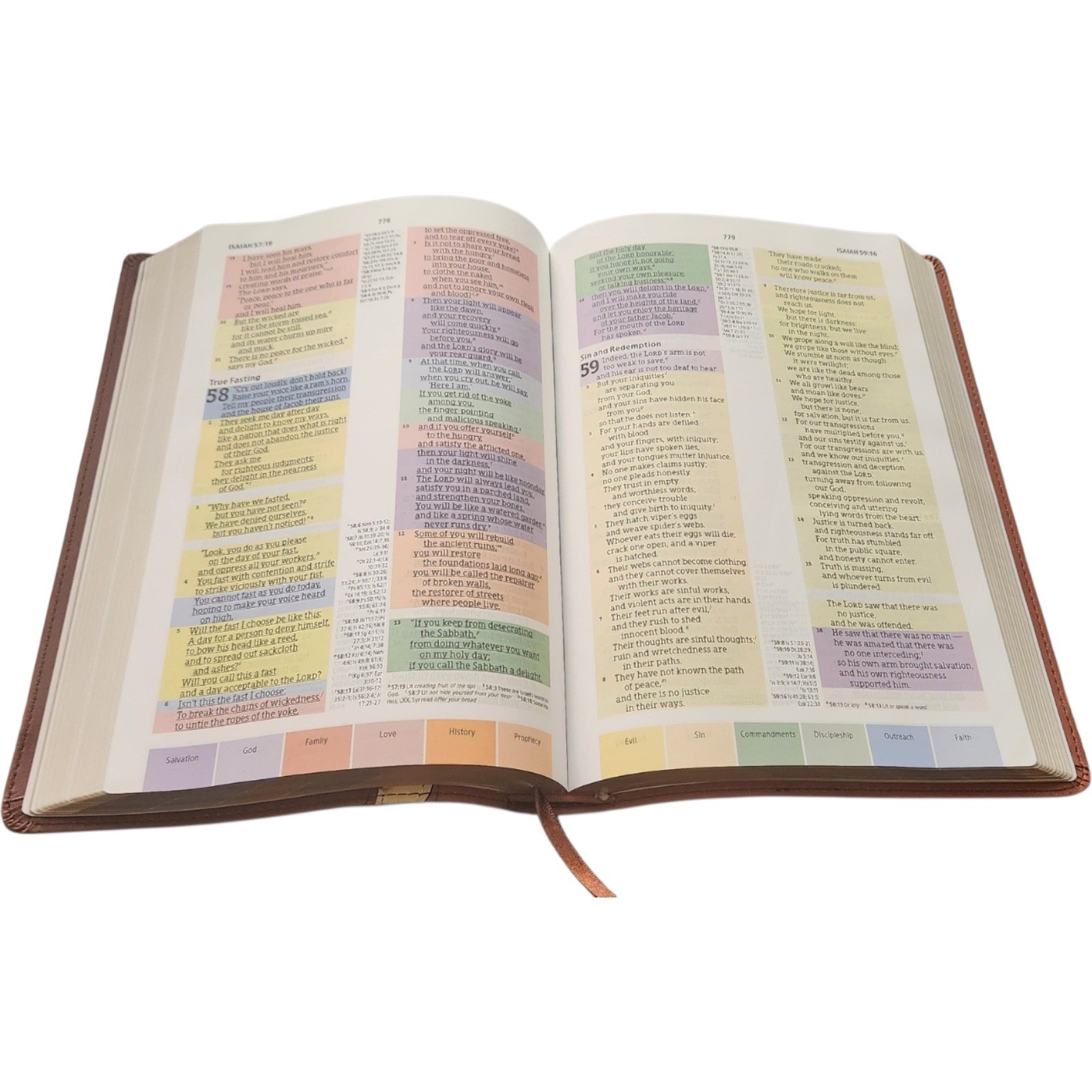 Holman CSB Rainbow Study Bible Brown LeatherTouch Christian Standard Bible