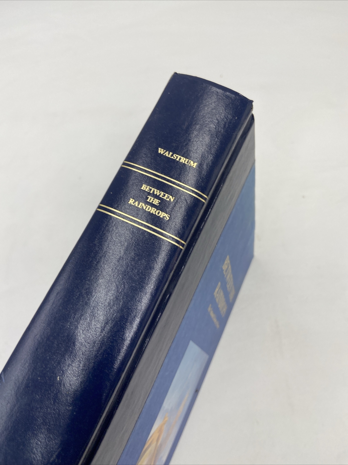 BETWEEN THE RAINDROPS The National Library of Poetry Nicole Walstrum 1995 HC