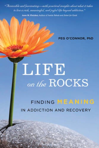 Life on the Rocks: Finding Meaning in Addiction and Recovery – Paperback – GOOD
