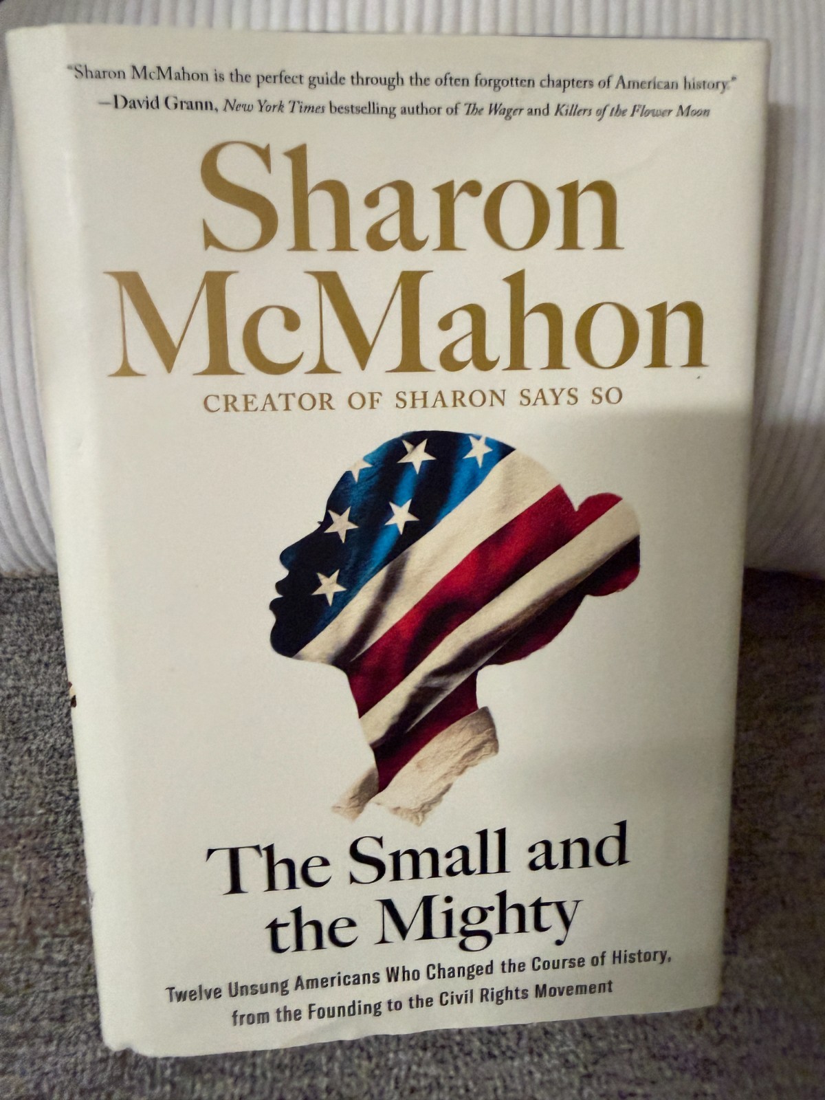 Small and the Mighty Sharon McMahon 2024 HC Excellent Civil Rights Book