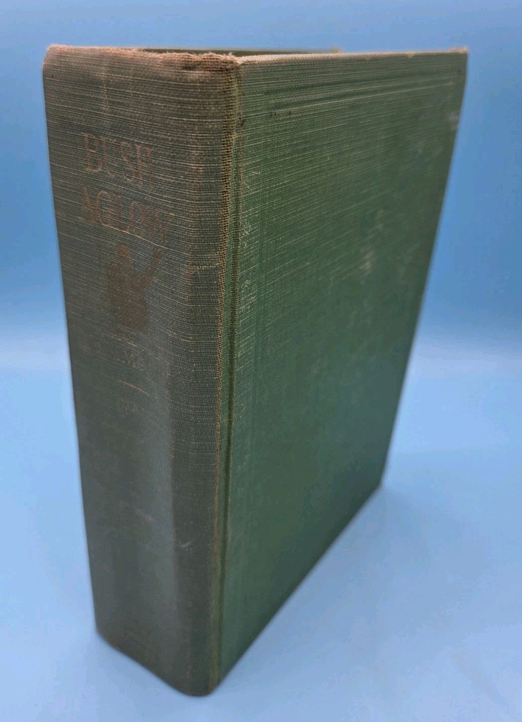 Book BUSH AGLOW The Life of D L Moody Richard Ellsworth Day Judson Press 1936 HC
