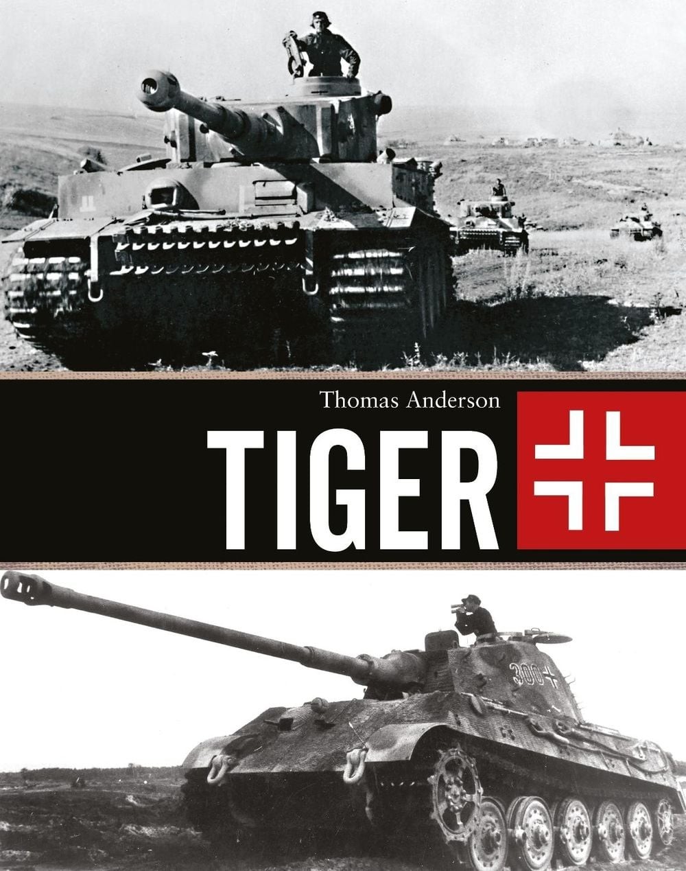 Tiger by Thomas Anderson (English) Paperback Book
