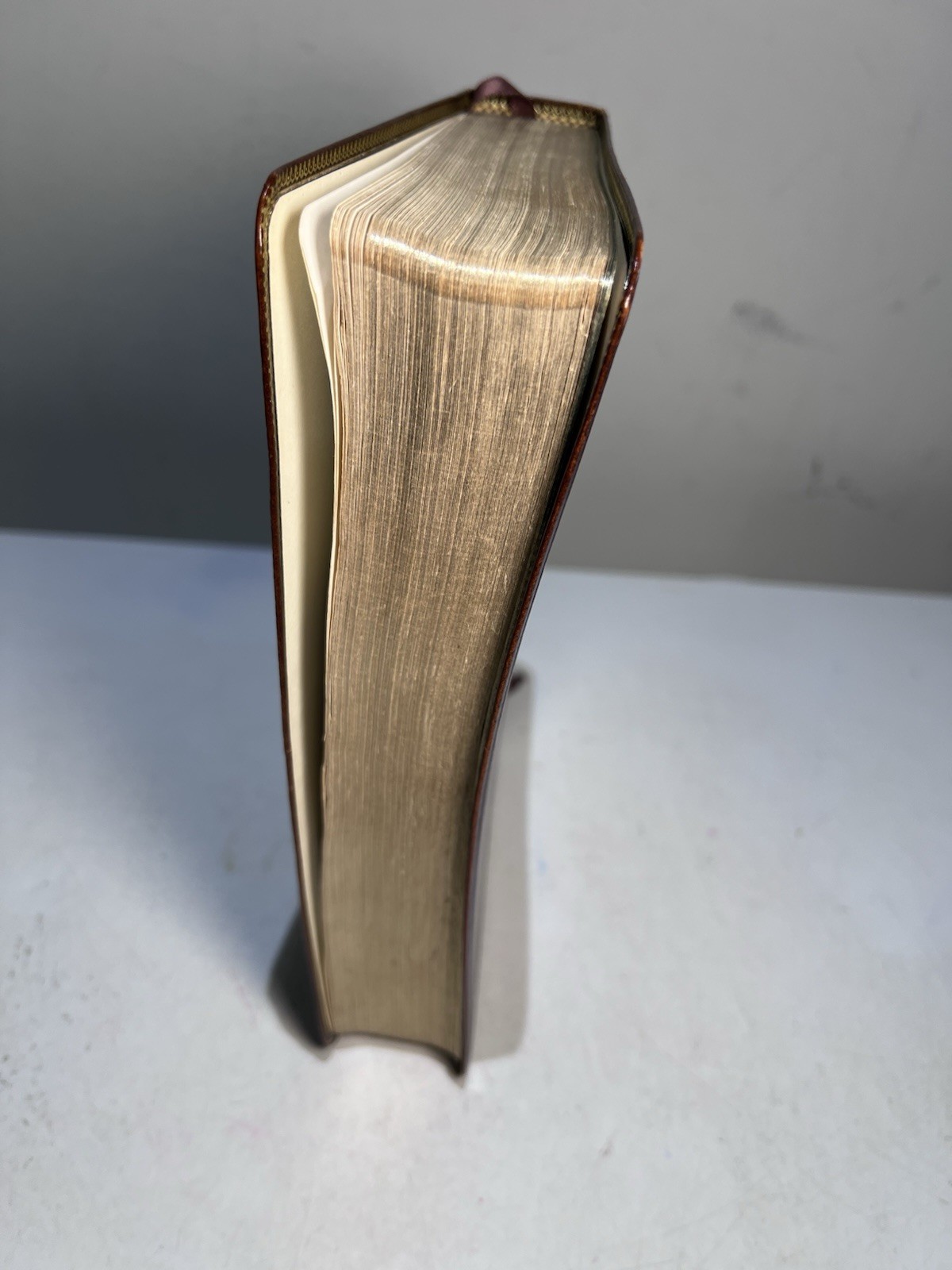 Rice Reference Bible King James Version By John Rice 1981 Edition