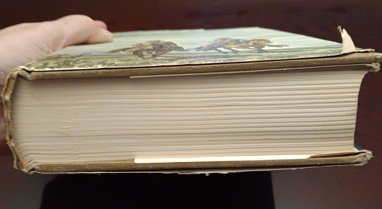 The Texas Rangers Second Edition by Walter Prescott Webb Hardback Dust Jacket