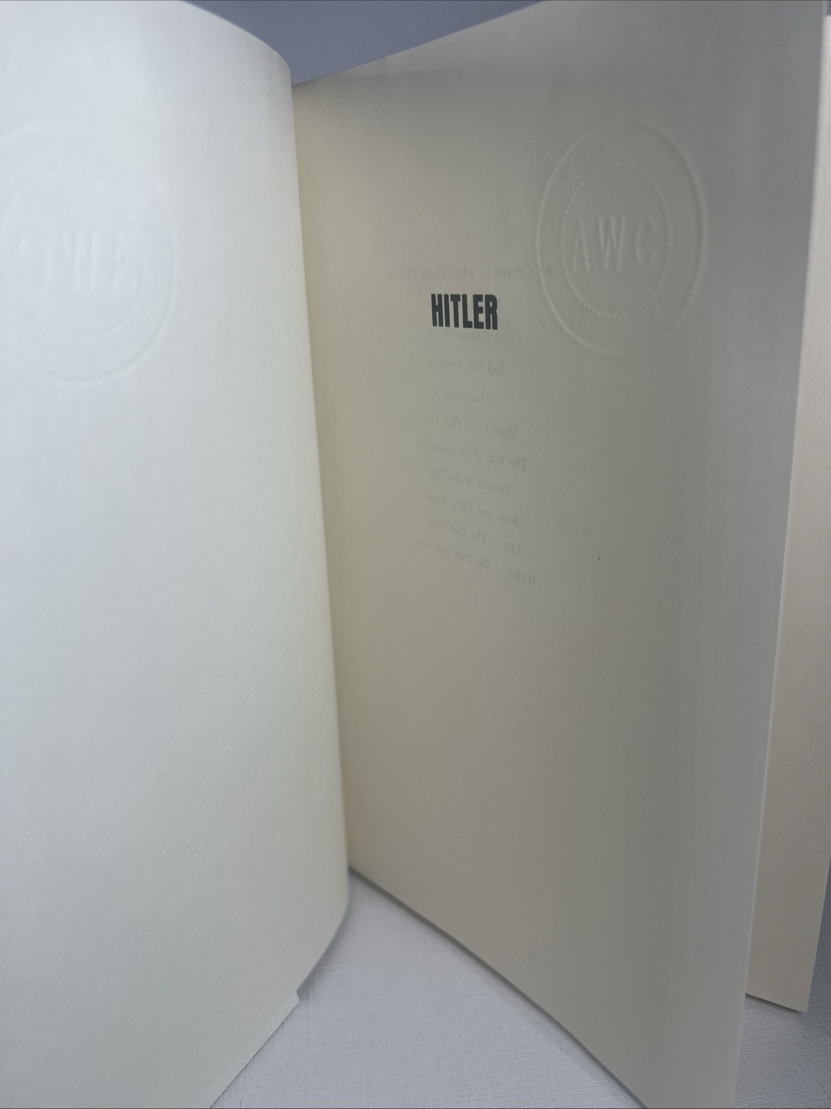 Hitler The Path to Power by Charles Bracelen Flood Hardcover 1989 HCDJ- Good