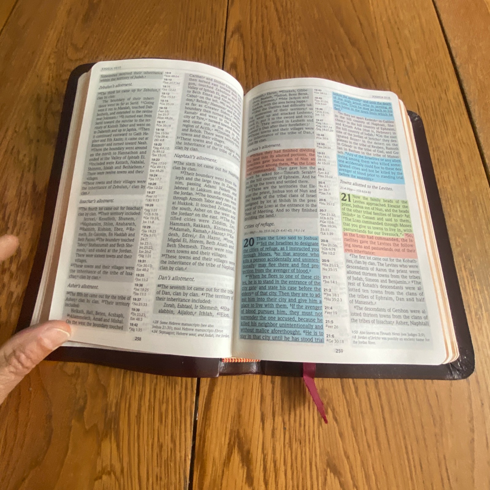 The NIV Rainbow Study Bible Bold Line Edition Burgundy