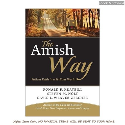 The Amish Way: Patient Faith in a Perilous World, Donald B. Kraybill 2026