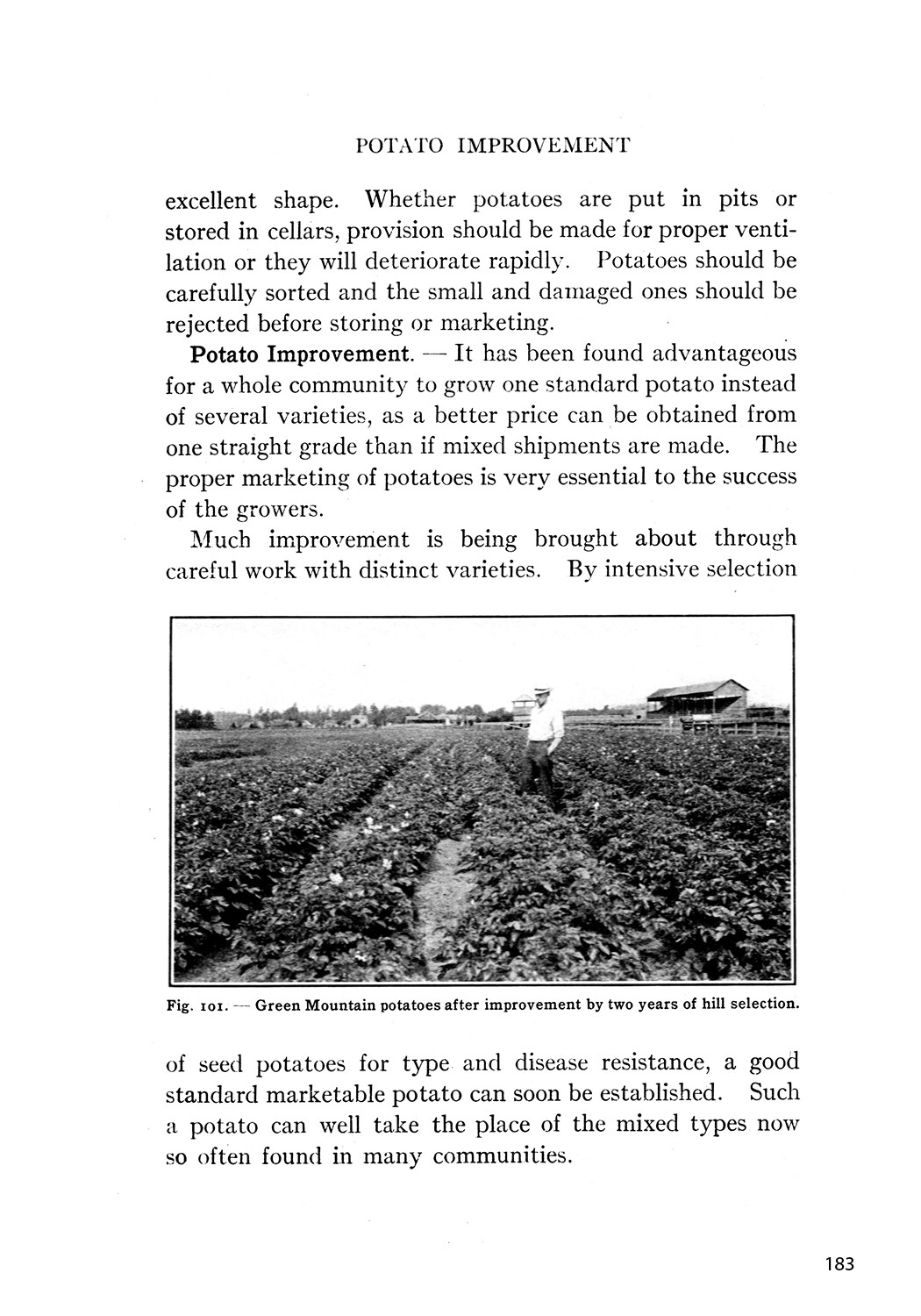 Classic Farming, Plant Production, and Horticulture: Special Edition Book *NEW*