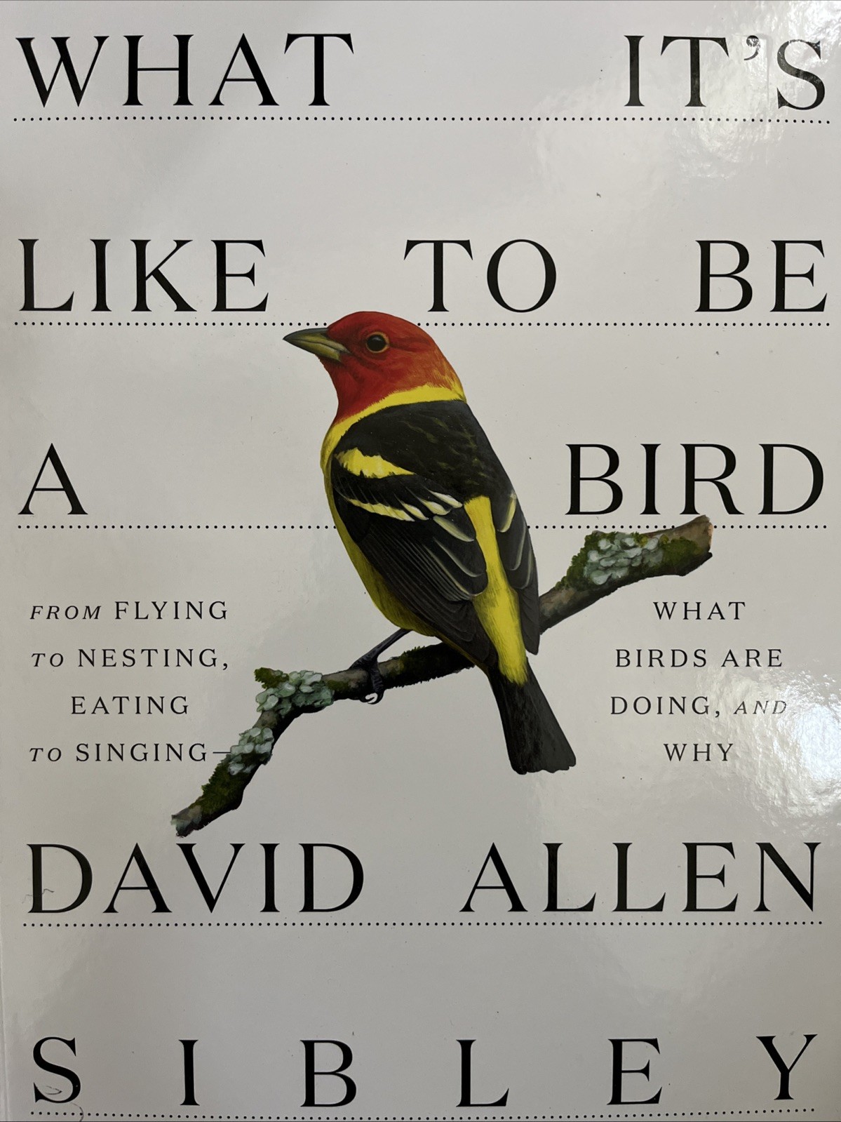 What It’s Like to Be a Bird:From Flying to Nesting, Eating to Singing-Brand New