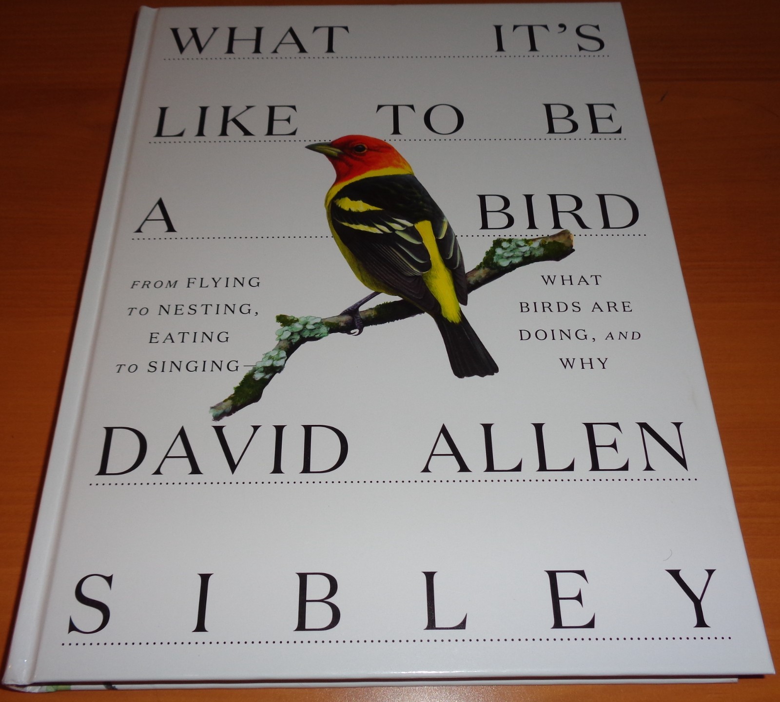 What It’s Like to Be a Bird: What Birds Are Doing, and Why (Ex. Condition)