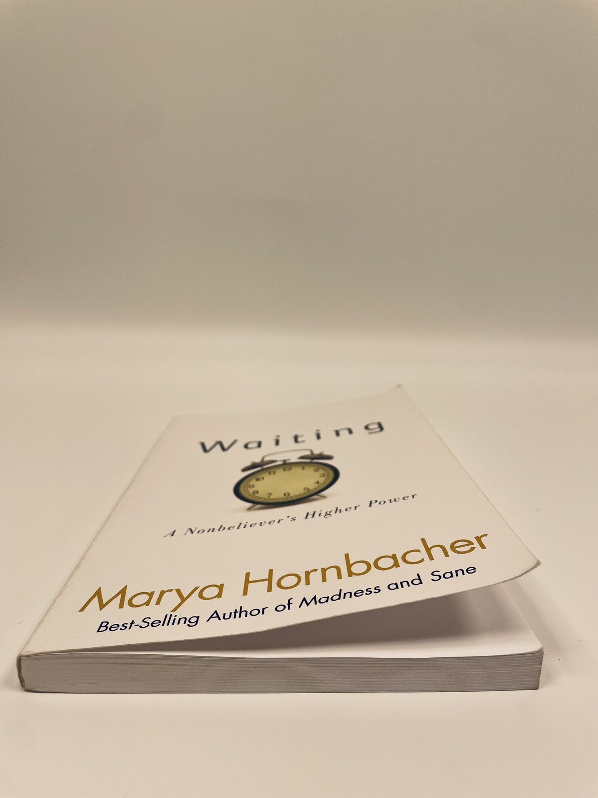 Waiting: A Nonbeliever’s Higher Power/ Marya Hornbacher/ 12 Step Recover