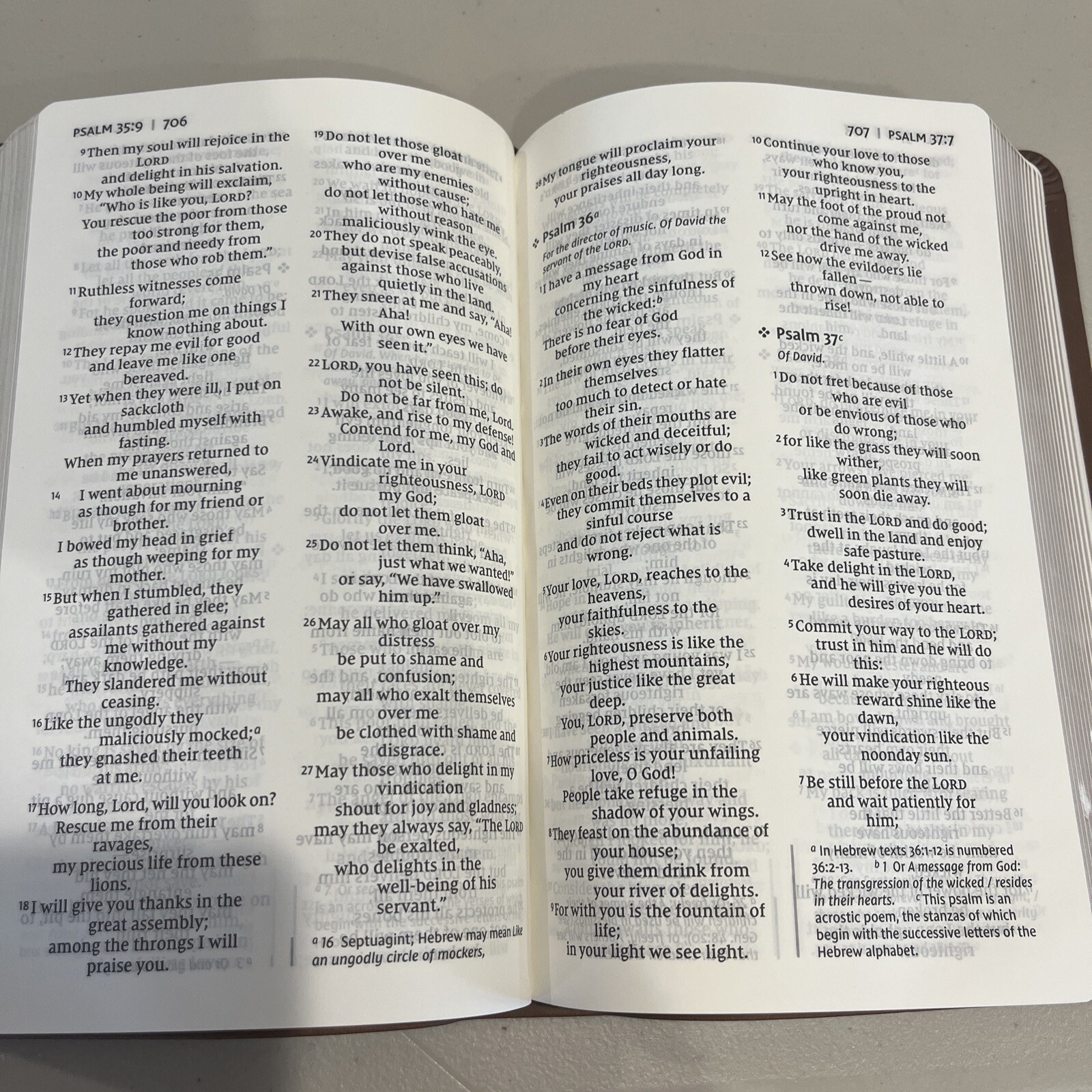 Holy Bible, Soft Touch Edition, Imitation Leather, Brown, Comfort