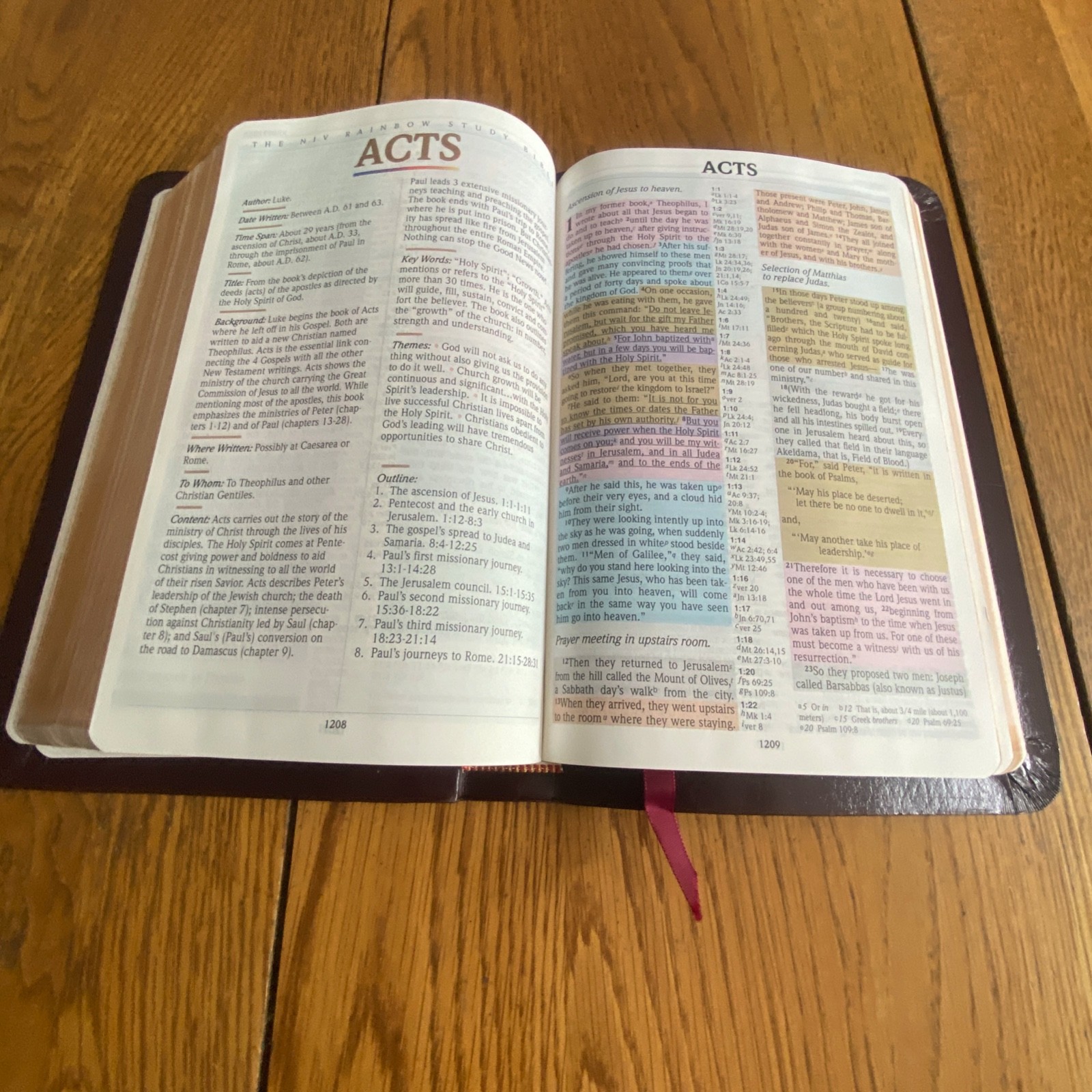 The NIV Rainbow Study Bible Bold Line Edition Burgundy