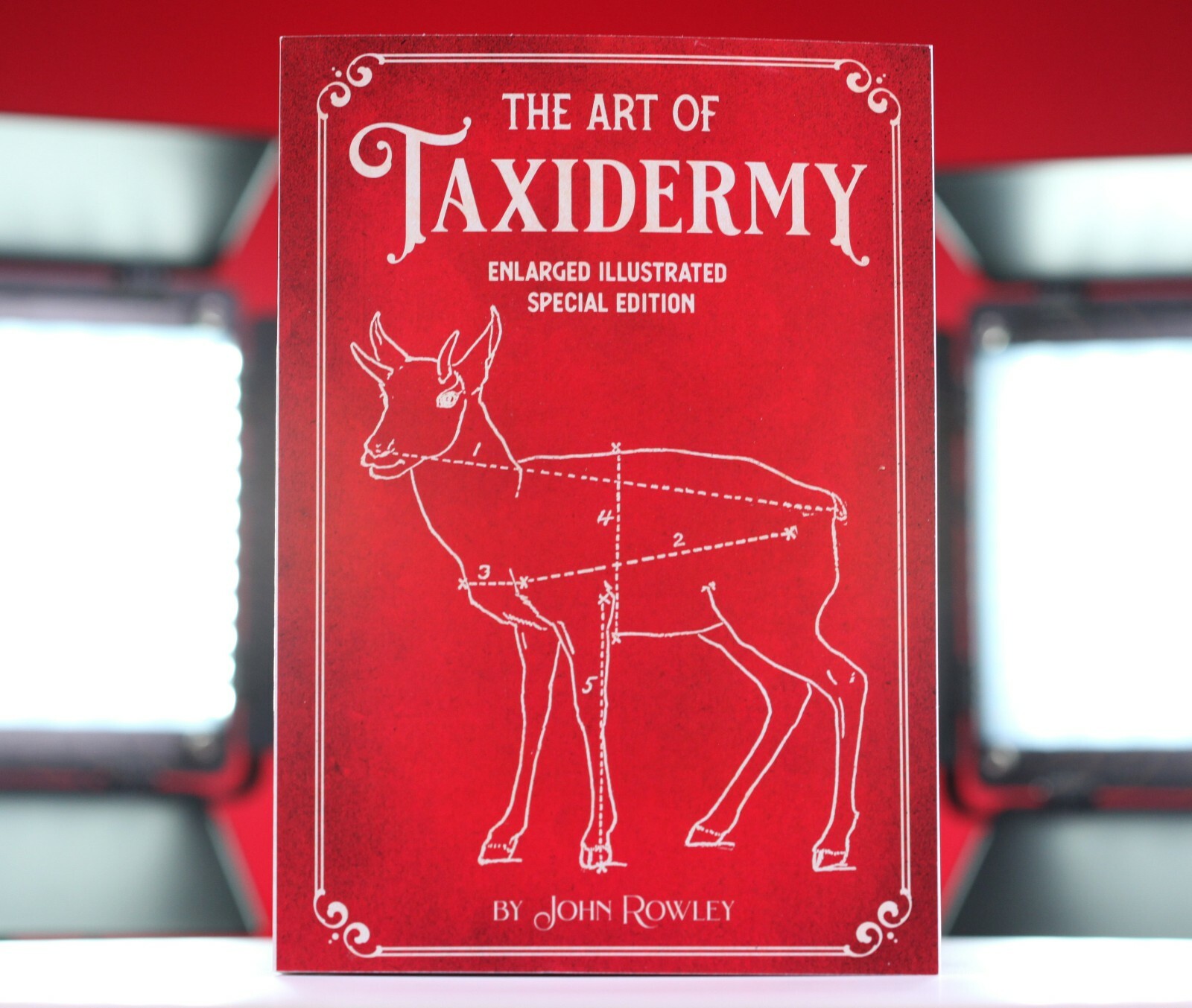The Art of Taxidermy: Enlarged Illustrated Special Edition book *BRAND NEW*