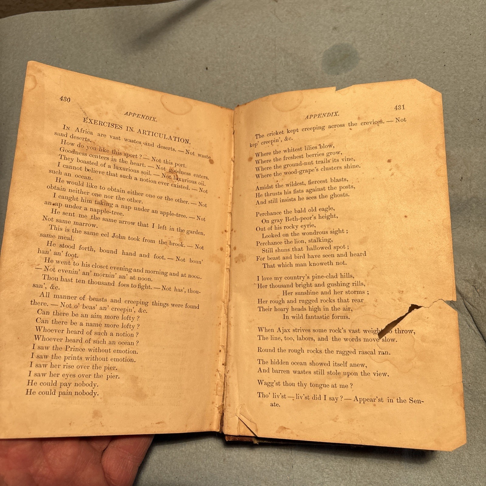 Sheldon’s Fifth Reader By E.A. Sheldon (Scribner,Armstrong,And Co. 1875 free shi