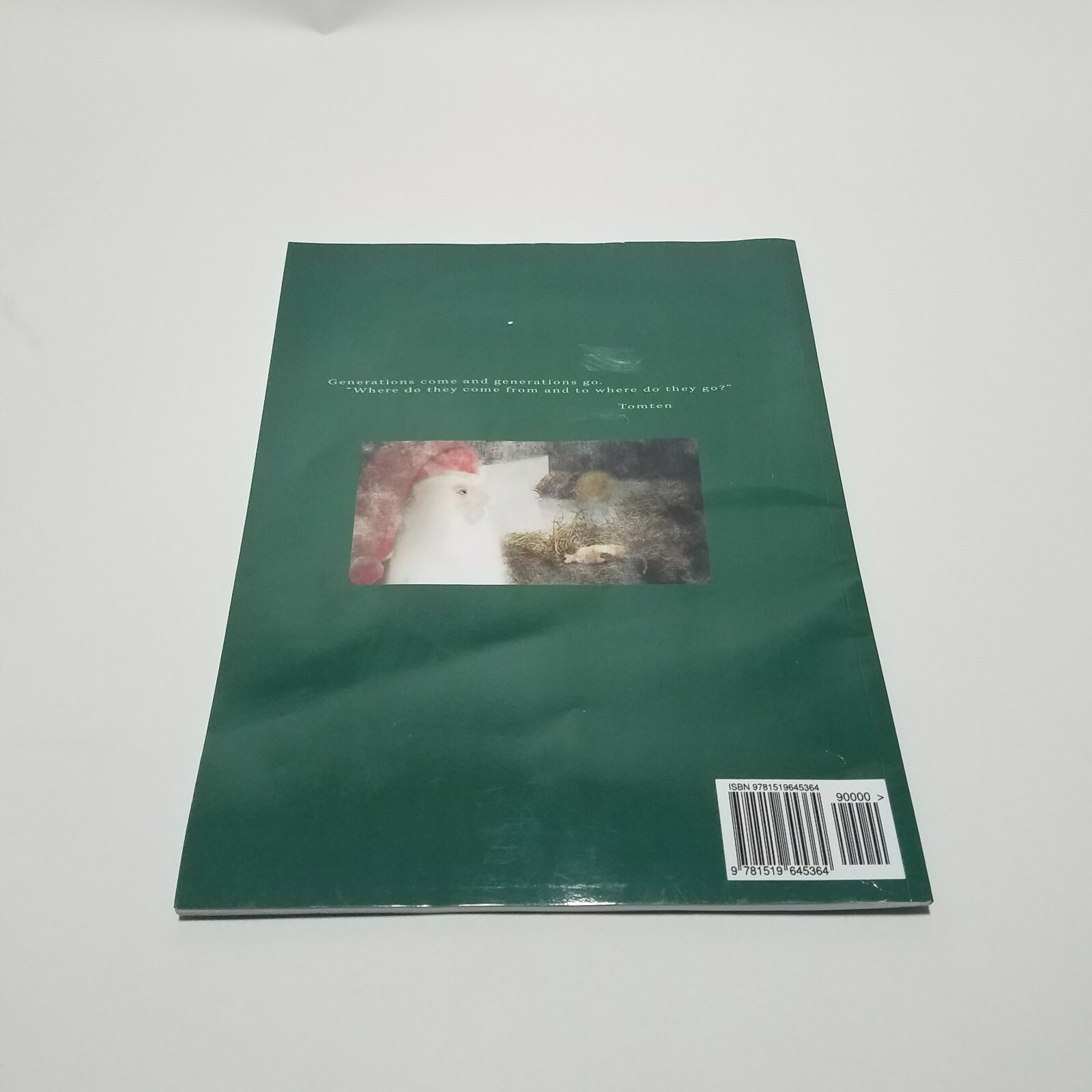 Only Tomten Is Awake by Spencer Harden (2015, Trade Paperback) Swedish Folktale