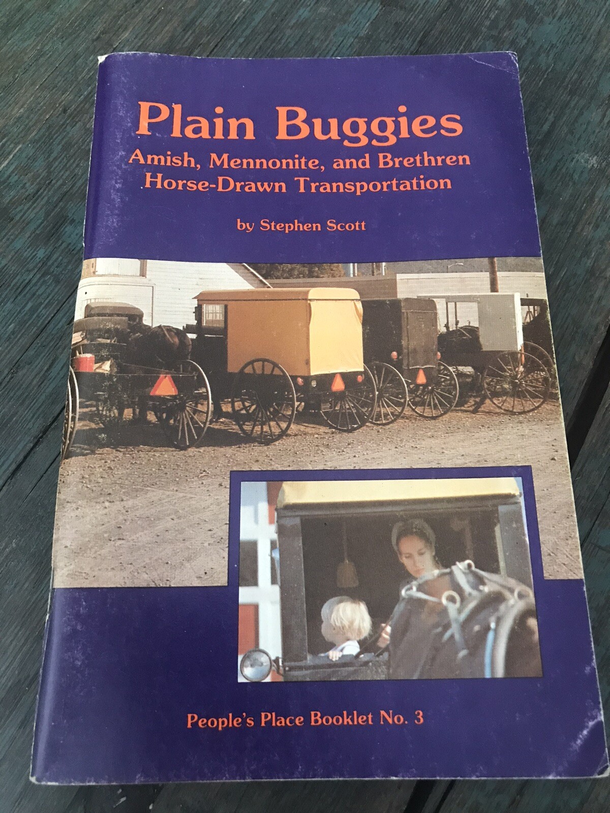 Plain Buggies Amish Mennonite Brethren Horse Drawn Transportation Stephen Scott