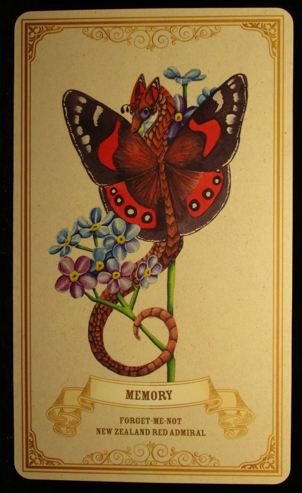 SEALED NEW ~ ENCHANTED BLOSSOMS CARDS & BOOK ORACLE DRAGONS BUTTERFLIES FLOWERS