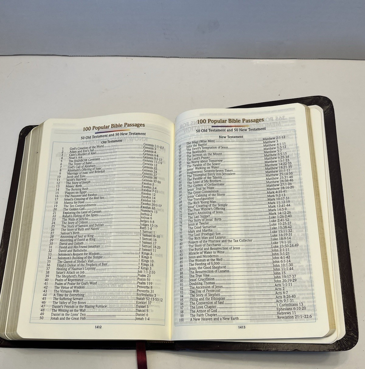 NIV Rainbow Study Bible Bold Line Edition New International Version Burgundy
