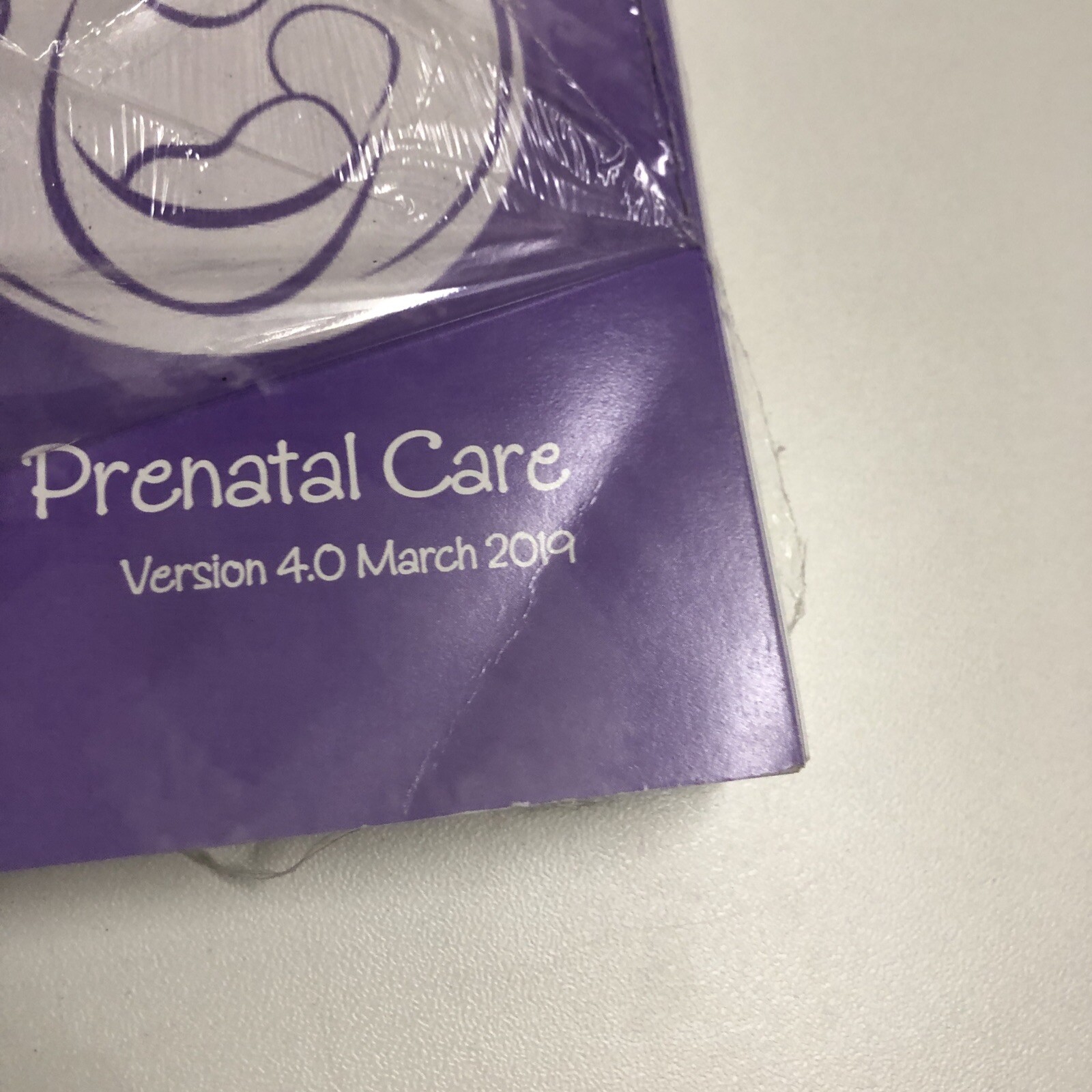 Pregnancy & Childbirth: A Goal Oriented Guide to Prenatal Care 2019