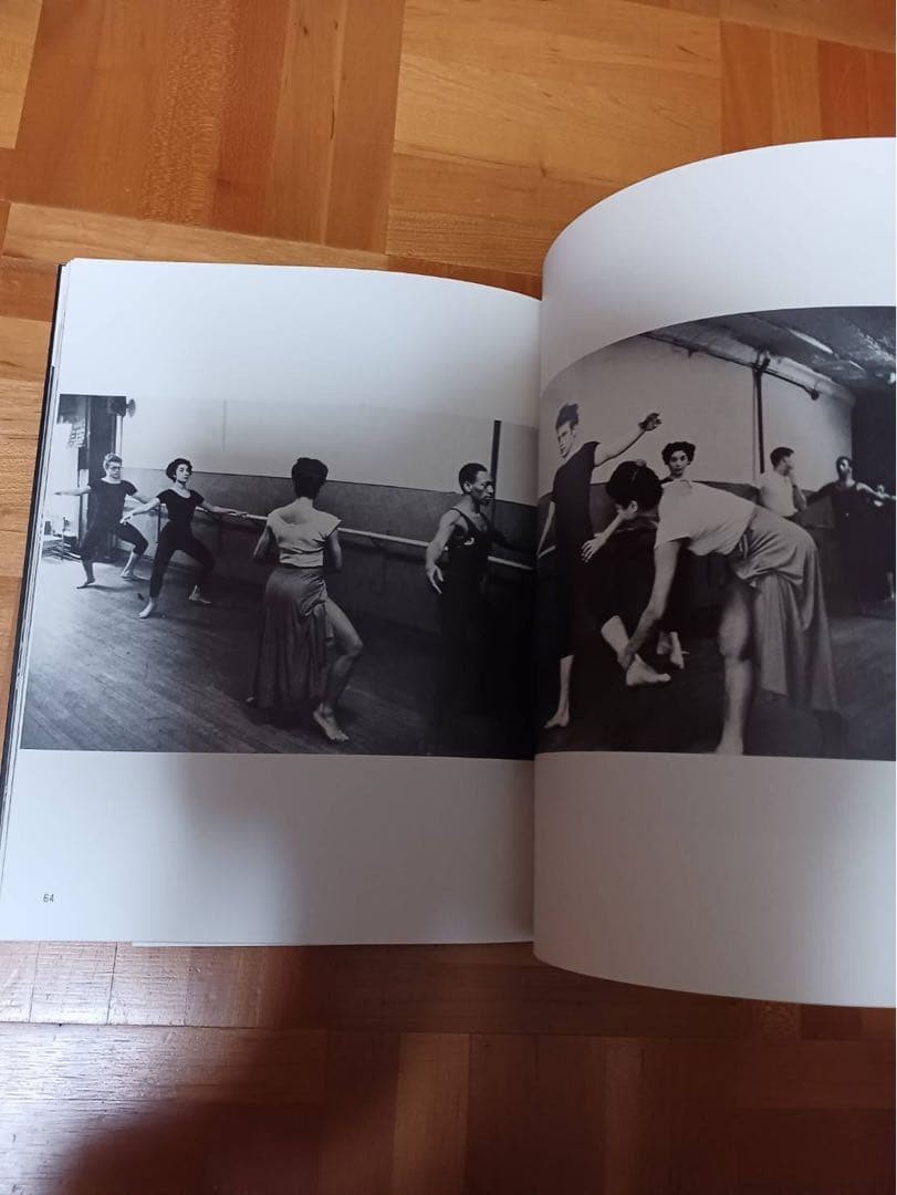 Dennis Stock James Dean Photo Book 1980 First Edition Haga Shoten Japan Rare