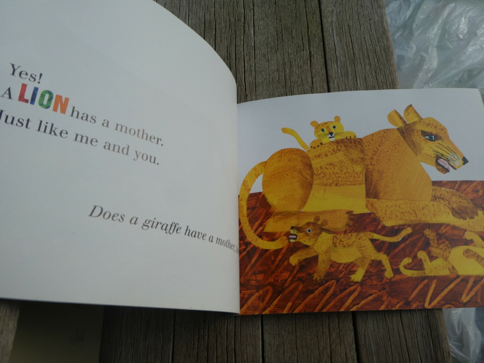 DOES A KANGAROO HAVE A MOTHER, TOO? . BY ERIC CARLE . HC . 9 X 11.25