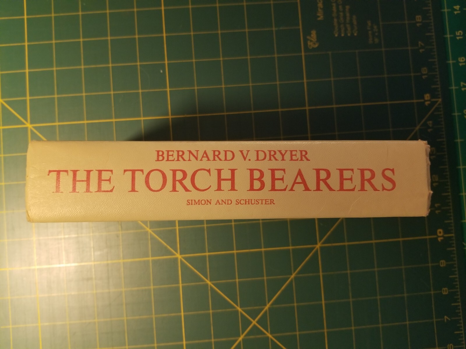 The Torch Bearers A Novel by Bernard V. Dryer