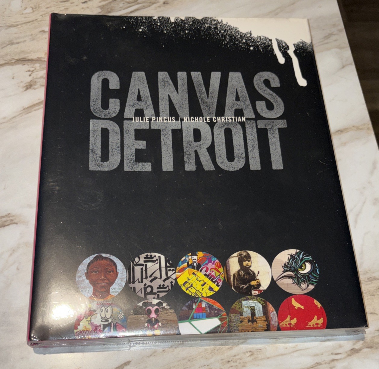 CANVAS DETROIT (PAINTED TURTLE) By Julie Pincus & Nichole Christian HC NEW