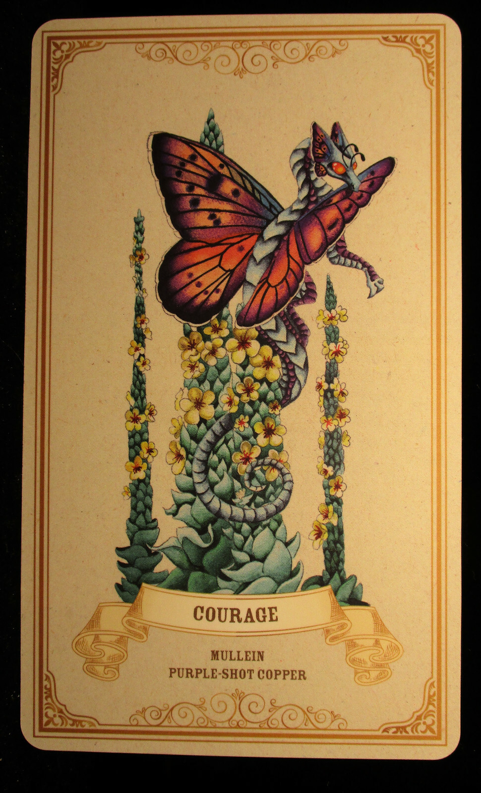 SEALED NEW ~ ENCHANTED BLOSSOMS CARDS & BOOK ORACLE DRAGONS BUTTERFLIES FLOWERS