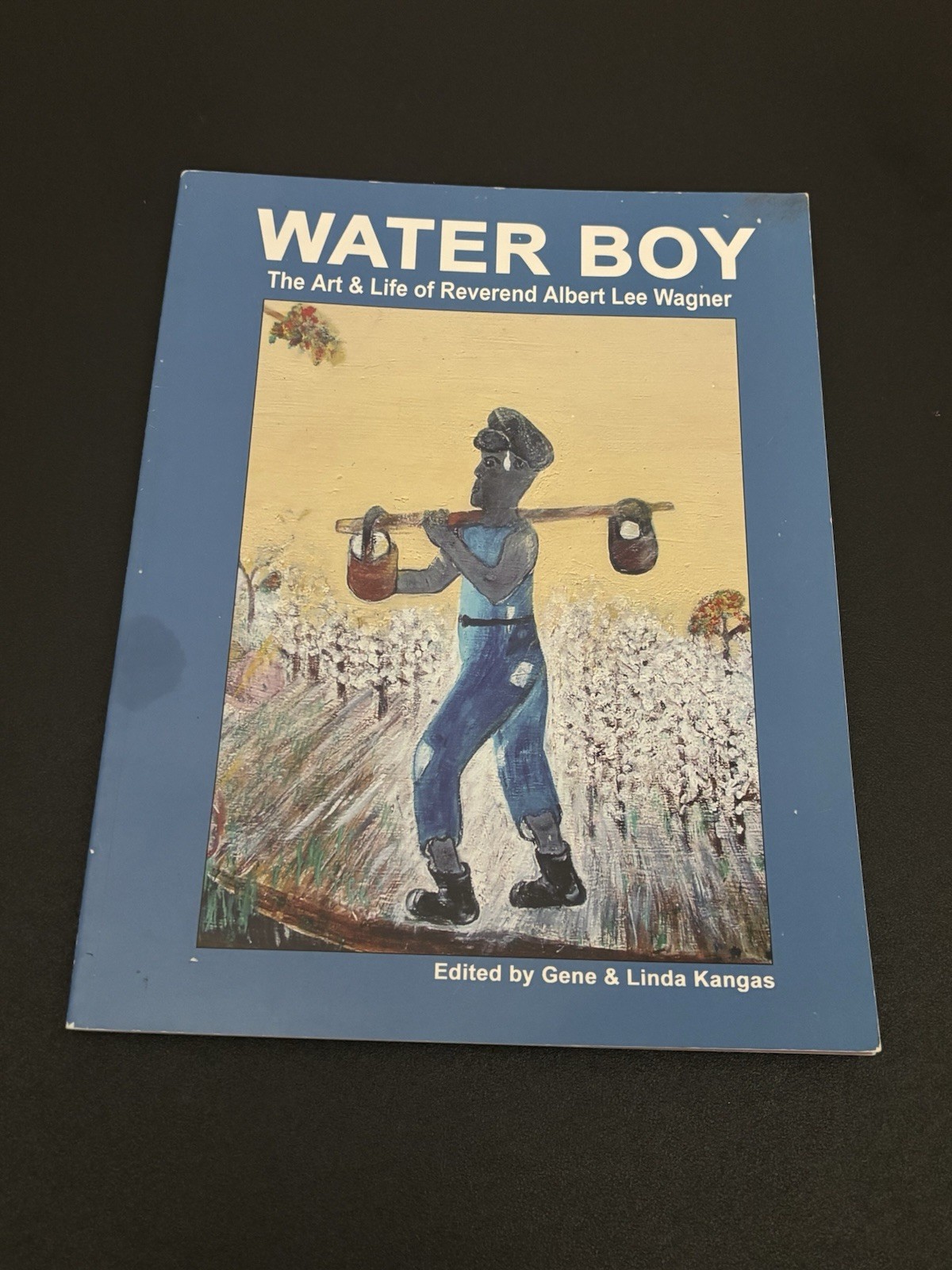Water Boy: The Art & Life Reverend Albert Lee Wagner ~ Gene & Linda Kangas